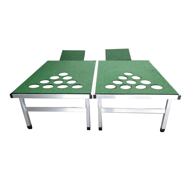 Beer Pong Golf